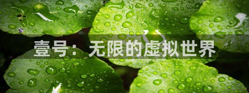 壹号注册入口app下载：壹号：无限的虚拟世界
