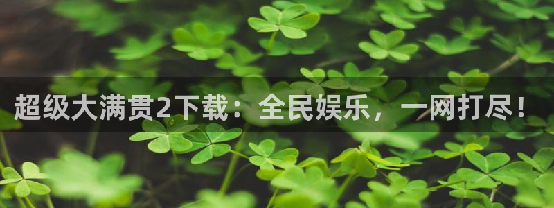 果博手机下载网址：超级大满贯2下载：全民娱乐，一网打尽！