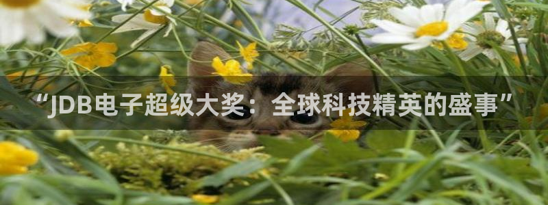 GB果博,com：“JDB电子超级大奖：全球科技精英的盛事”