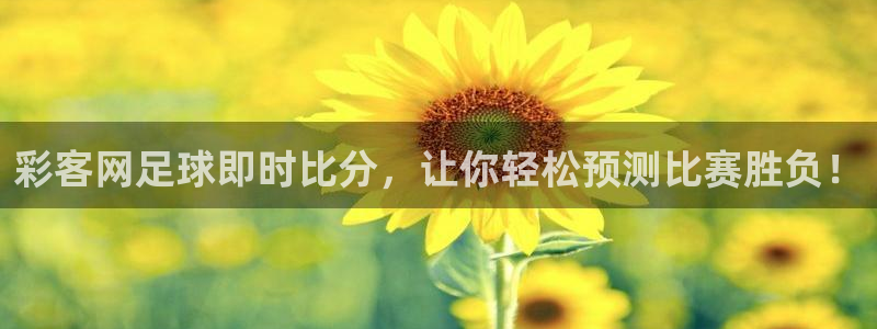 果博公司：彩客网足球即时比分，让你轻松预测比赛胜负！